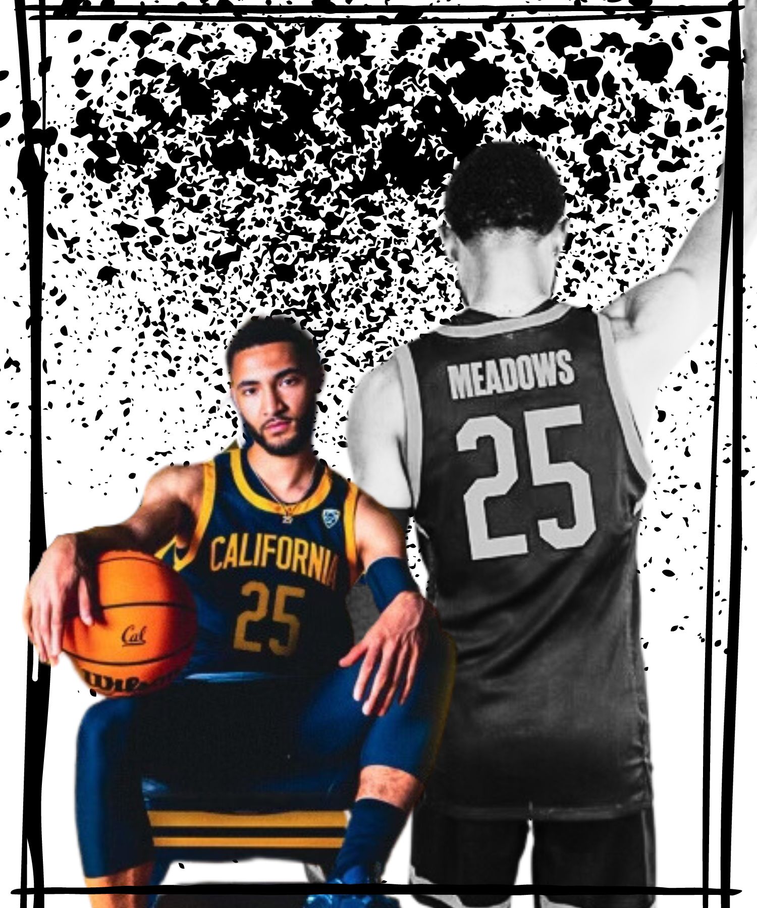 Mike Meadows WebPic